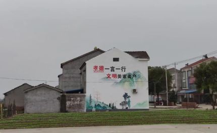 璧山区新农村墙绘